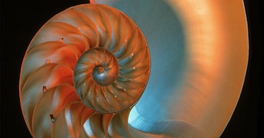 i00044_N_theme2